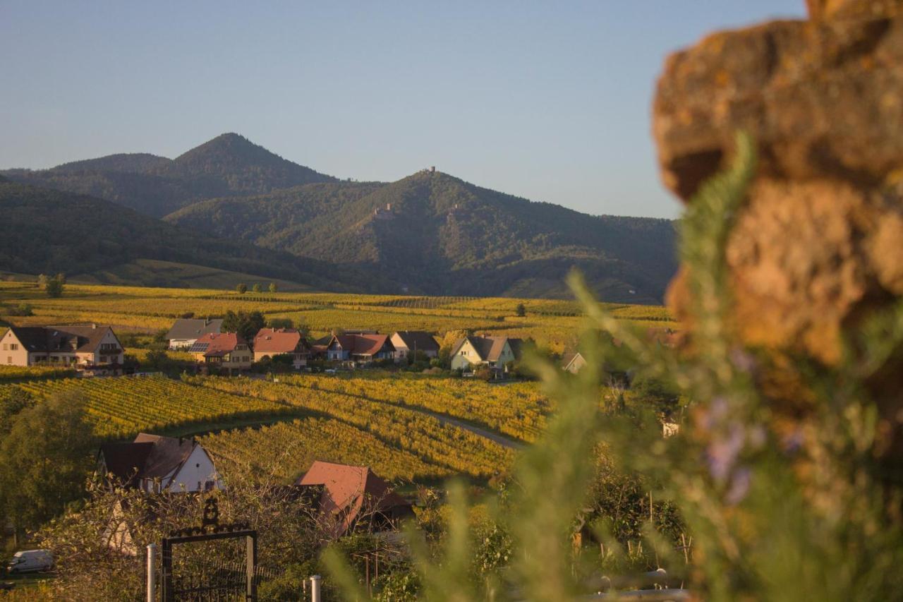 Le Zell Villa Зеленберг Екстериор снимка